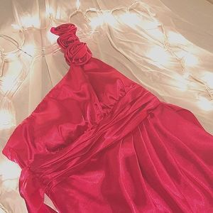 A Pink Satin Dress ❤️